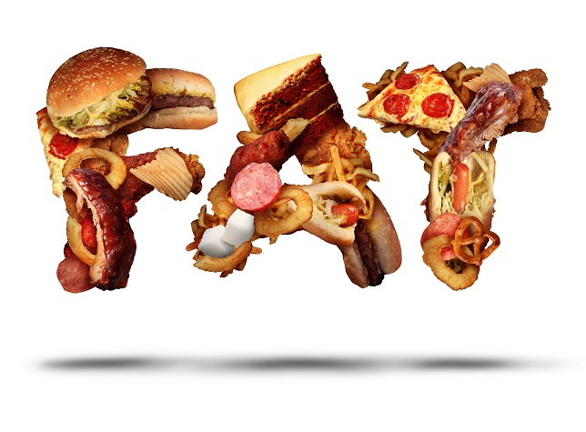 Fat concept and unhealthy restaurant food or processed meal icon as text made from a group of hamburgeres deep fried french fries cake and fastfood as a metaphor for eating and nutrition health risk.