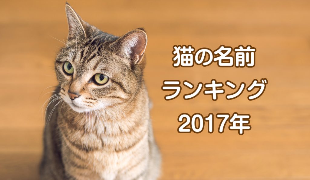 猫の名前ランキング2017年　8年連続1位のモモが4位に　1位は○○に決定