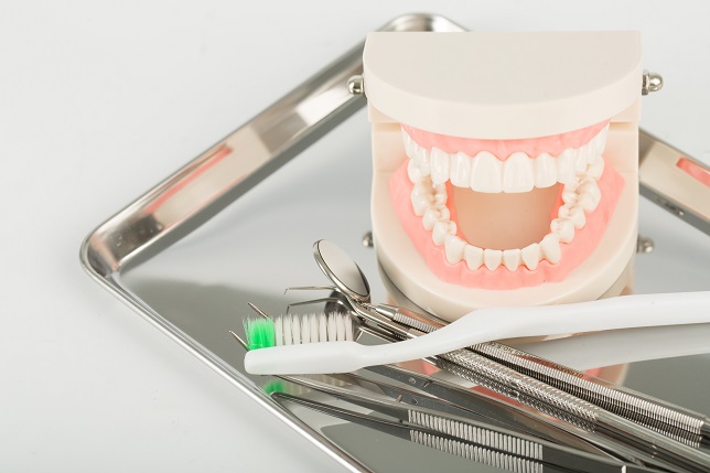 Dental implant model for explain tooth body.