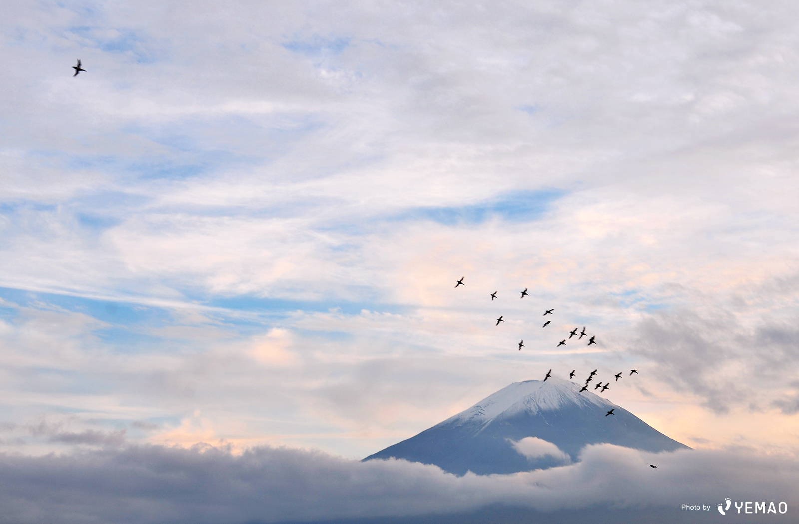 壁紙プレゼント 富士山の絶景写真12選 Starthome