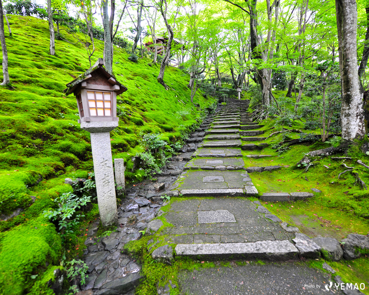 壁紙プレゼント 初夏の京都 風景写真選 Starthome