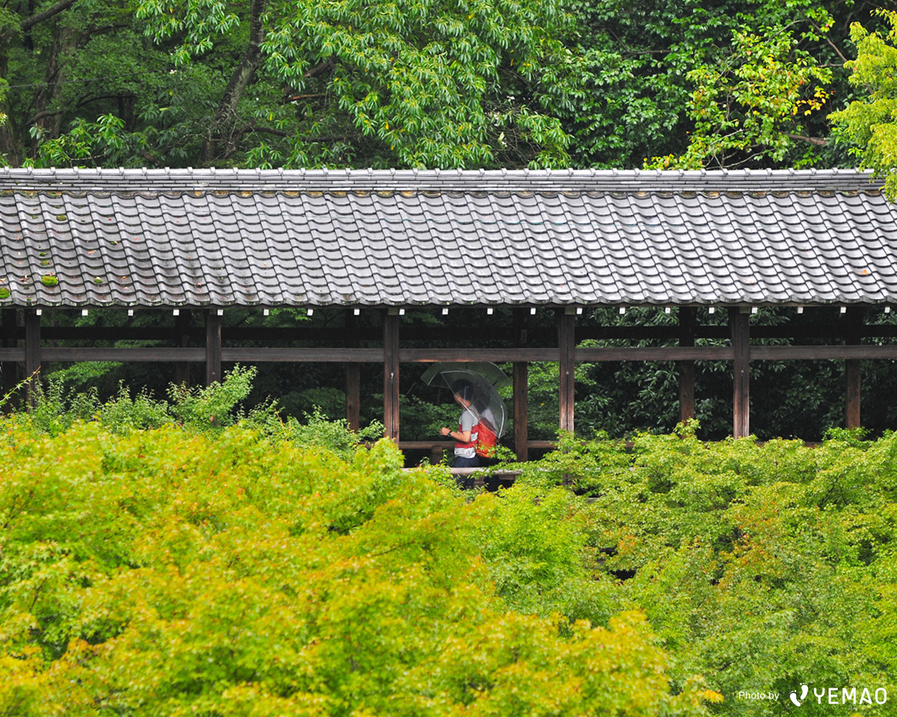 壁紙プレゼント 初夏の京都 風景写真選 Starthome