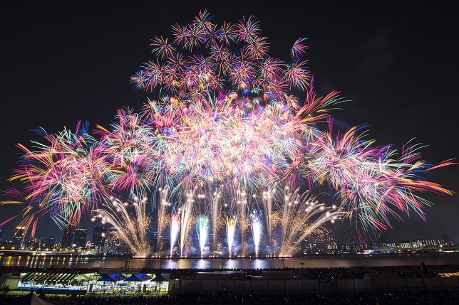 fireworks_edogawa_starthome